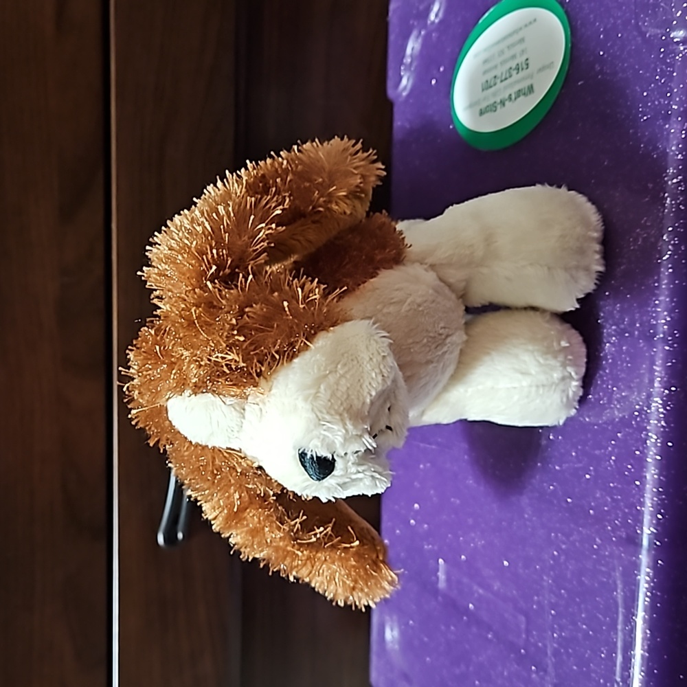 Webkinz Lil kinz basset hound